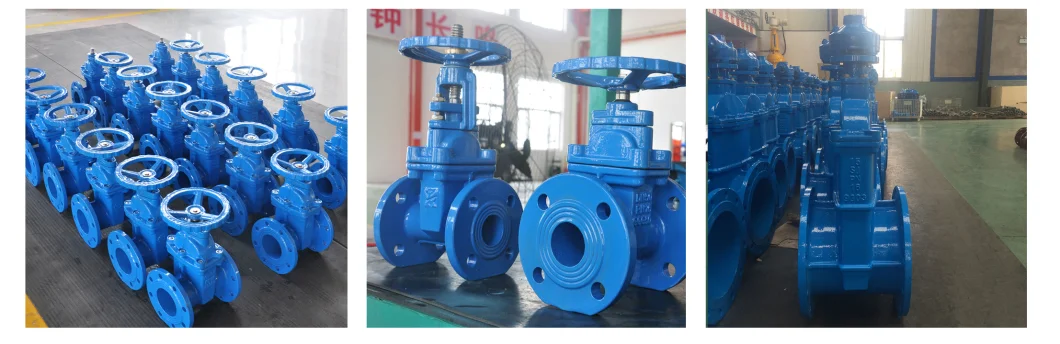 Water DN300 Flanged Connection Electric Motor Operated Actuated Cast Iron Outside Screw As4087 Pn16 Pn14 Pn21 Wedge Gate Valve with Spur Gear Worm Gear