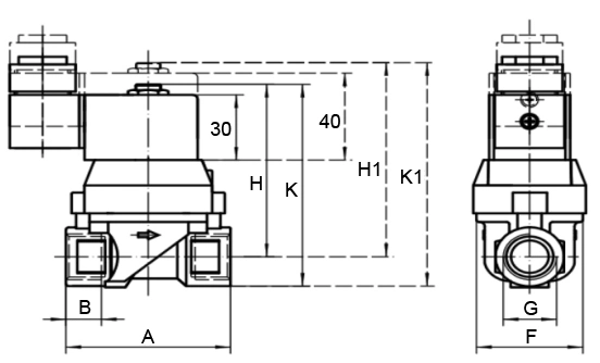 2 Way Normally Closed Diaphragm Pilot Operated Water Air Gas Brass Solenoid Valve 12V 24V 110V 220V